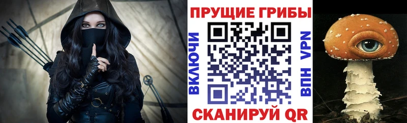 Псилоцибиновые грибы GOLDEN TEACHER Новосокольники