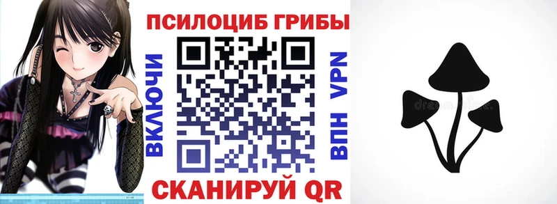 mega маркетплейс  Новосокольники  Псилоцибиновые грибы прущие грибы 